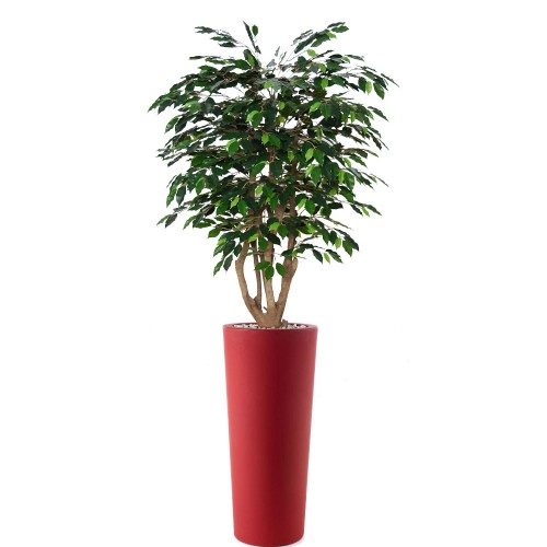 Planta semi-artificiala Ila, Ficus Exotica Malabar Green - 210 cm